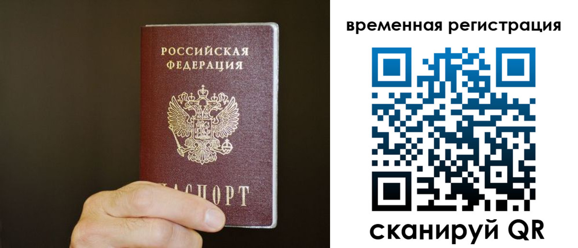прописка гарантия в Видном